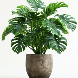 Ultimate All-in-One Bundle